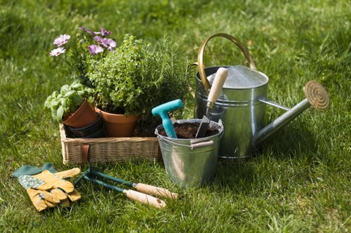 Professional tree lopping service in Willesden