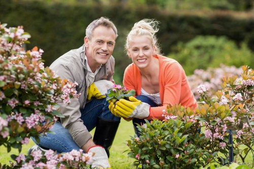 Donated plants and tools ready for community reuse in north-west London