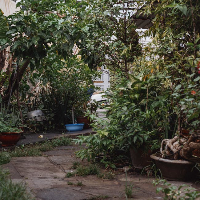 A small, lush garden with a narrow paved pathway made of irregular stone slabs, bordered by various potted plants and shrubs. The plants include leafy green bushes, small trees, and flowering plants, 